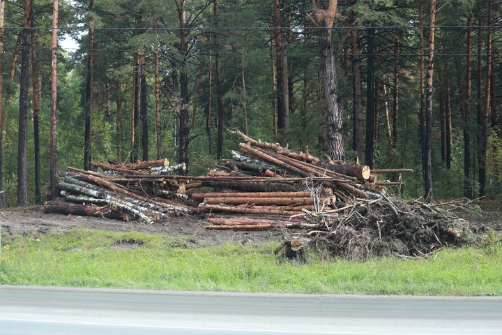 Dist Photo 1
