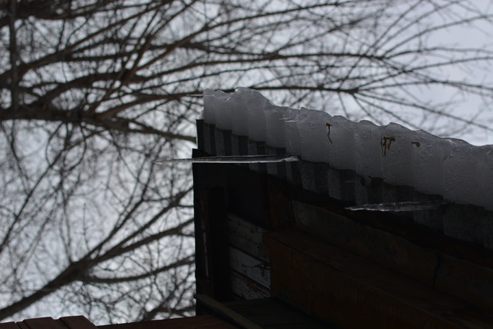 Dist Photo 1