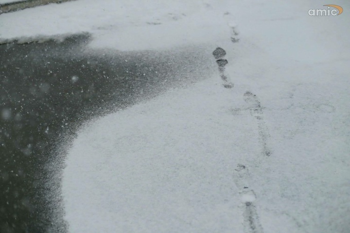 Dist Photo 1