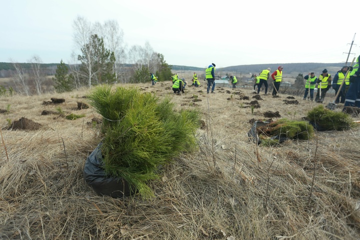 Dist Photo 1