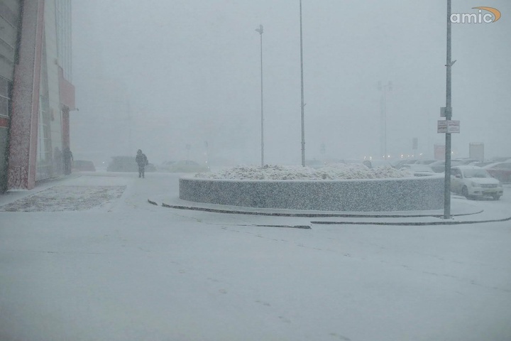 Dist Photo 1