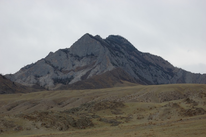 Dist Photo 1