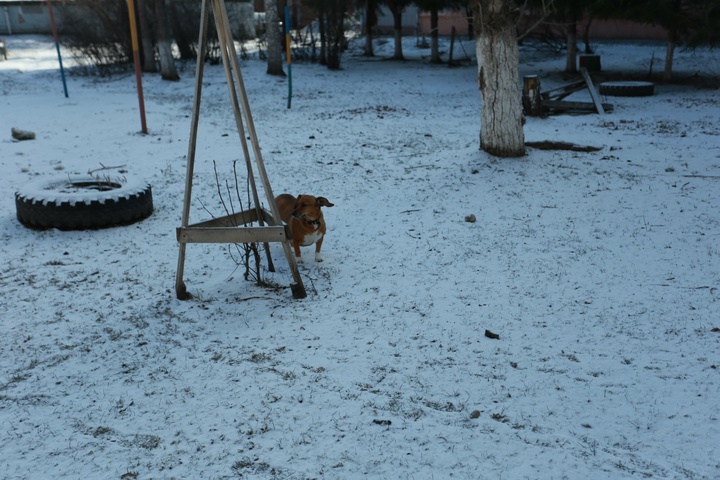 Dist Photo 1