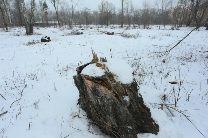 Dist Photo 1