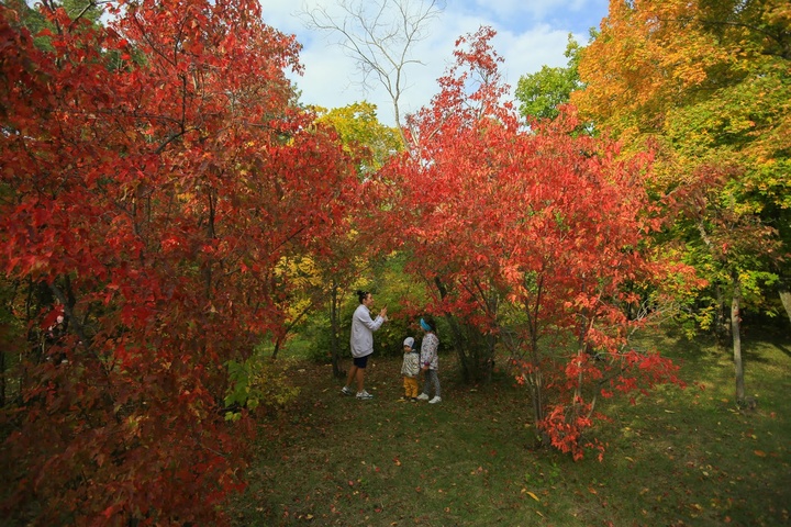 Dist Photo 1