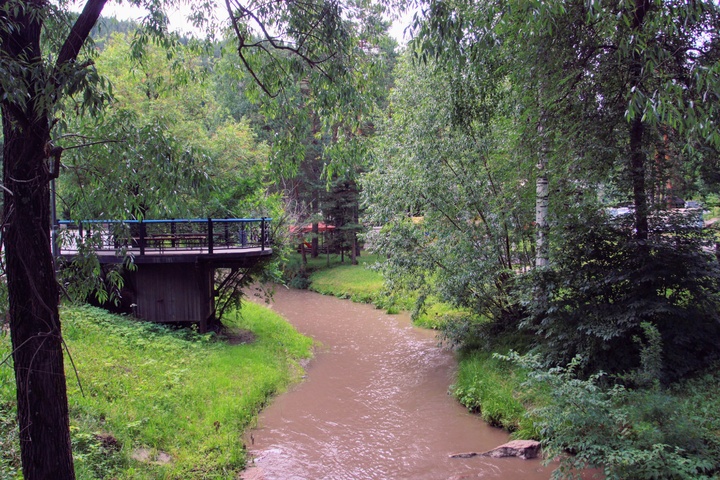 Dist Photo 1