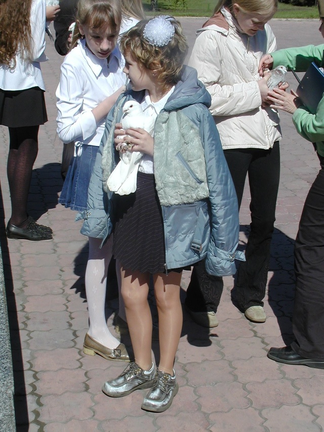 Dist Photo 1