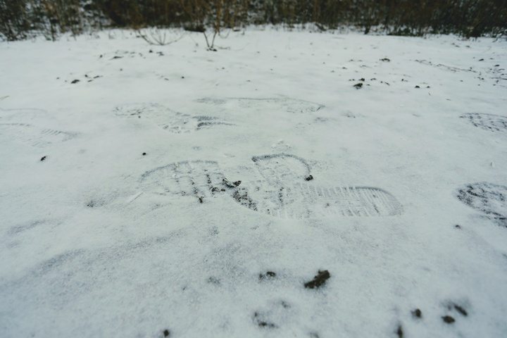 Dist Photo 1