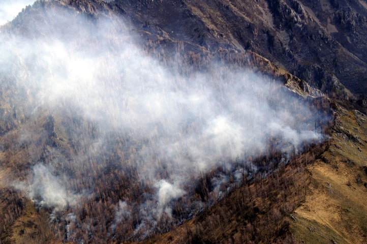Dist Photo 1