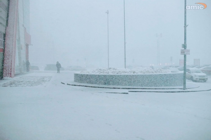 Dist Photo 1