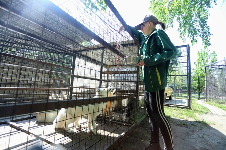 Dist Photo 1