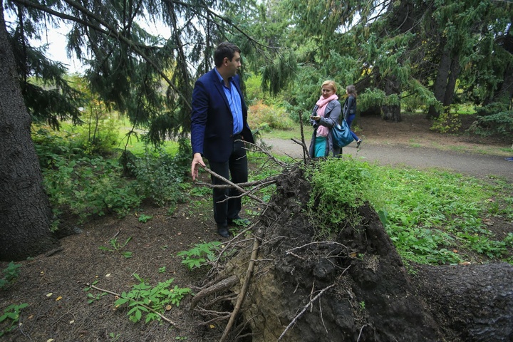 Dist Photo 1