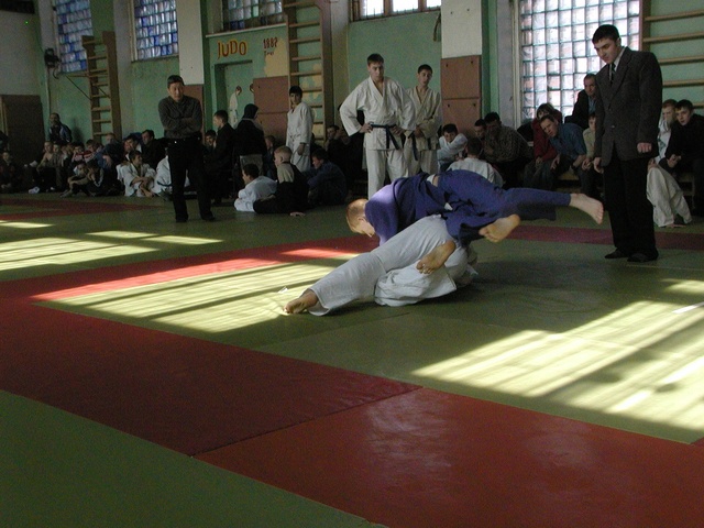 Dist Photo 1
