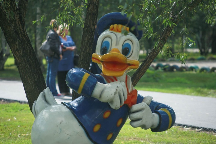 Dist Photo 1