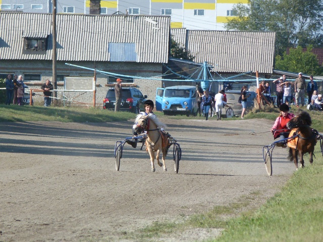 Dist Photo 1