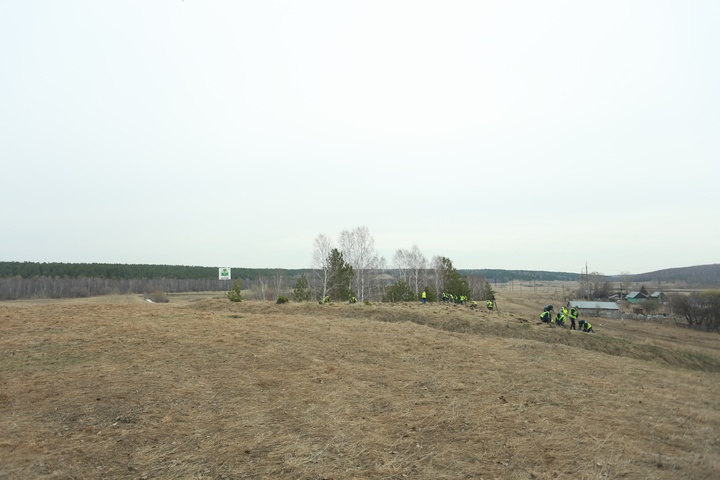 Dist Photo 1