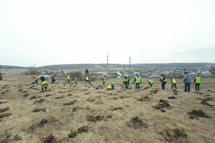 Dist Photo 1