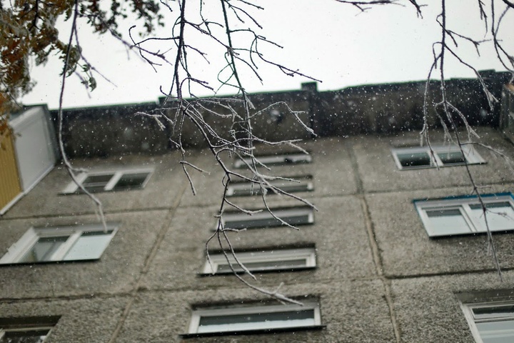 Dist Photo 1