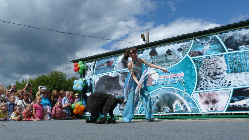 Dist Photo 1