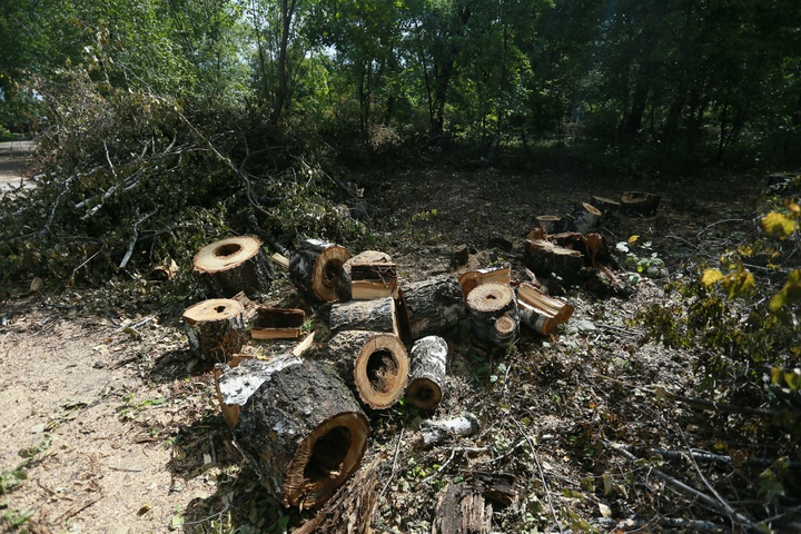 Dist Photo 1